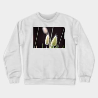 Plant Hairs Crewneck Sweatshirt